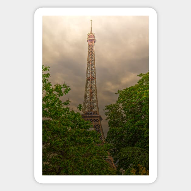 Eiffel Tower, Paris Between The Trees Sticker by tommysphotos